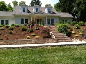 The front garden May, 2012,  after replanting.
